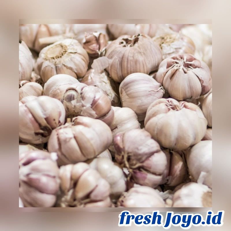 

BAWANG PUTIH 1/2 KG | 500 GRAM