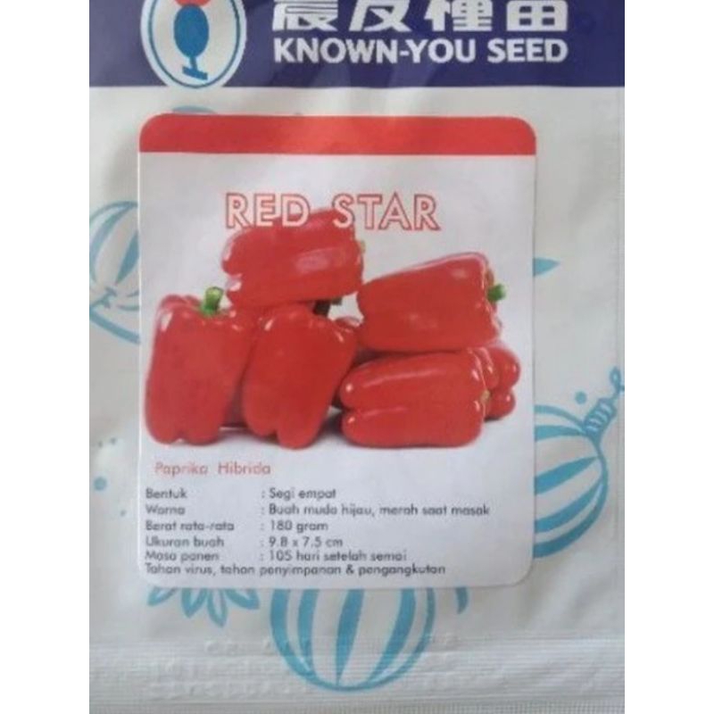 Bibit Paprika merah red star