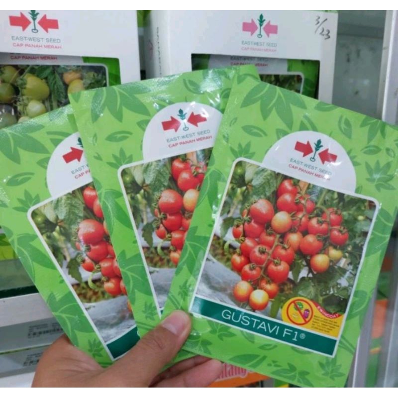 bibit tomat gustavi 1750 butir cap panah merah