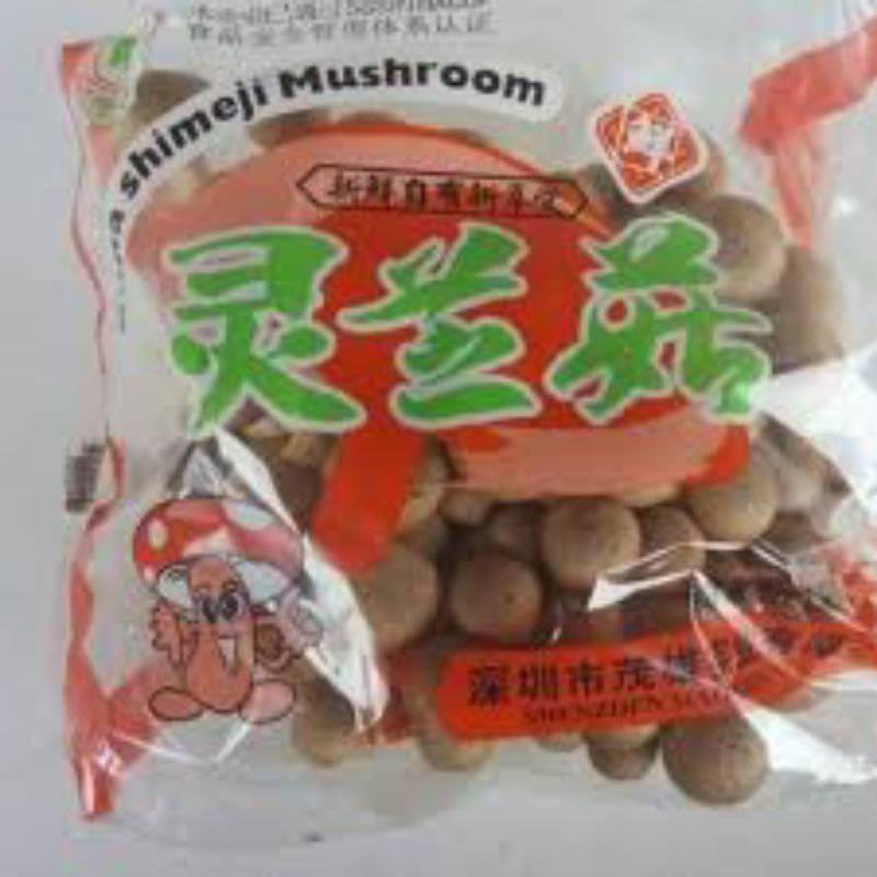 

jamur shimeji cokelat perpack