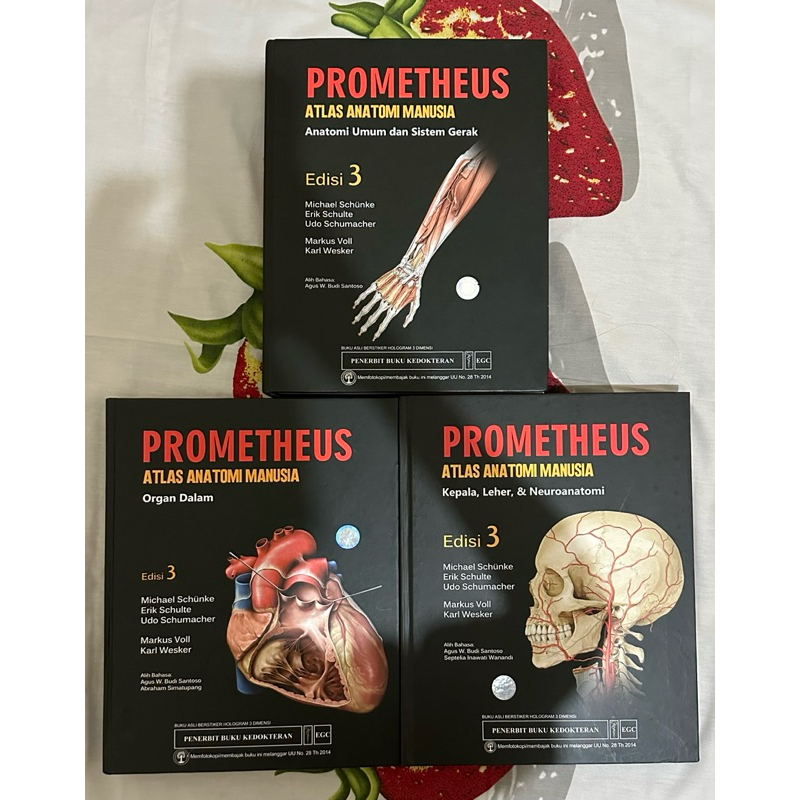 BUKU ANATOMI PROMETHEUS EDISI 3 (PRELOVED)