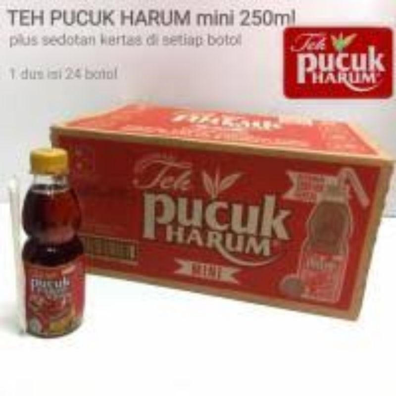 

teh pucuk 250ml dus