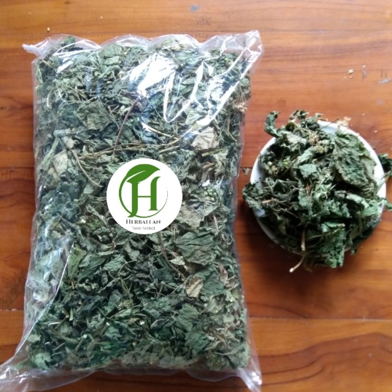 

Daun Babadotan Kering 100 gram obat maag