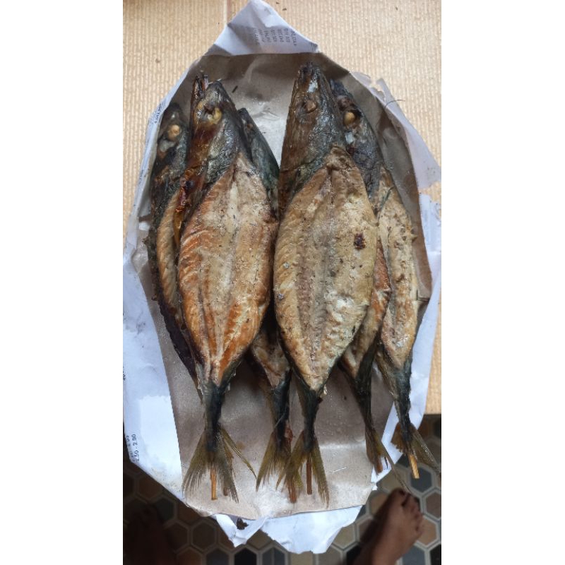 

IKAN PANGGANG PLETEK ISI(4)