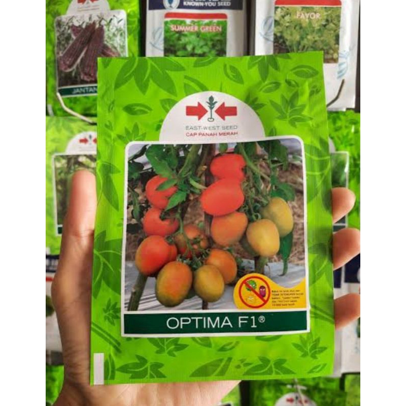 benih tomat optima F1 1750 butir