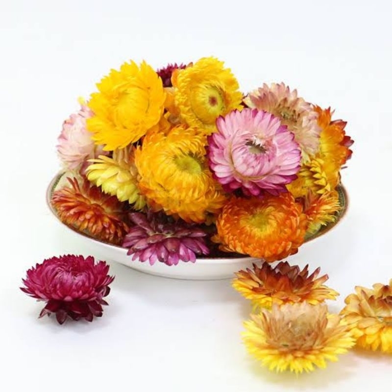 

Straw flower Tea/Colorful Chrysanthemums Tea