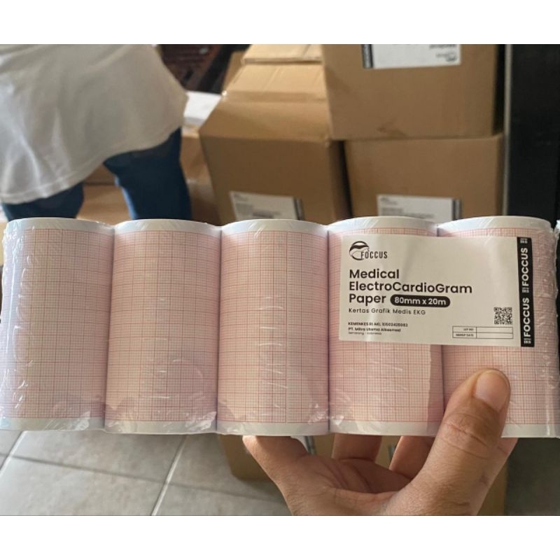 Kertas ECG Paper EKG 80x20 Foccus