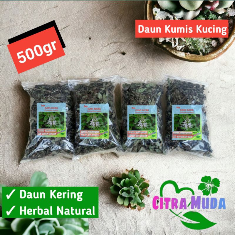 

Daun kumis kucing Kering 500gram atasi batu ginjal