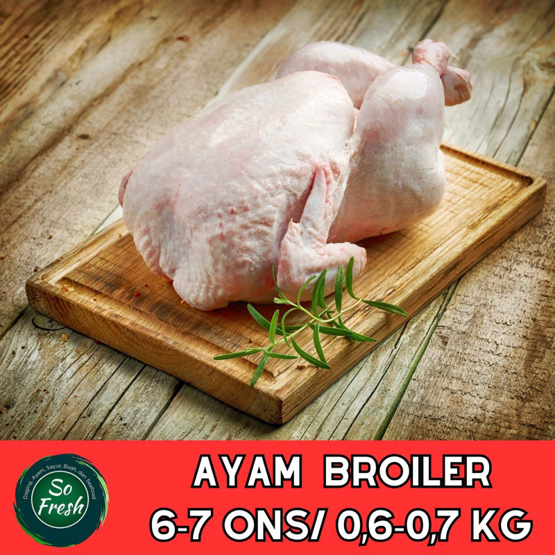 

AYAM BROILER UKURAN 600-700 GRAM/ 0,6-0,7 KG