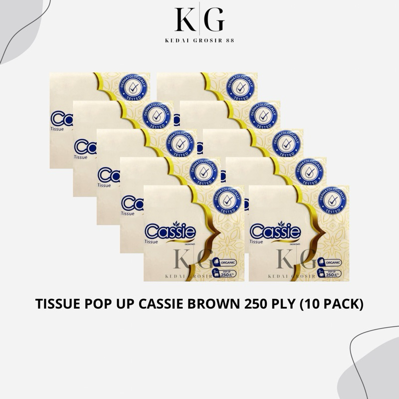 CASSIE Tissue Pop Up / Belah Brown 250 PLY (10 PACK)