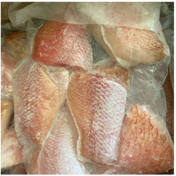 

Fillet Kakap Merah 500gr Kualitas Export Frozen Food Cikarang