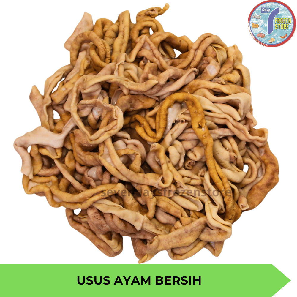 

Usus Ayam Bersih Segar Beku Frozen kemasan 500 gr