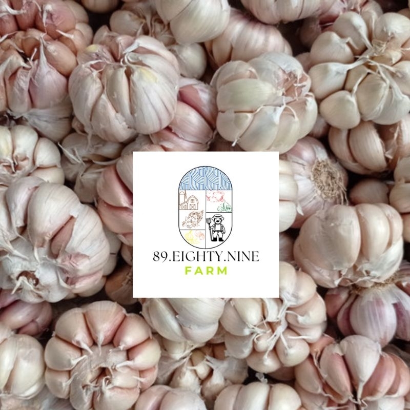 

Bawang Putih Sinco 1kilo