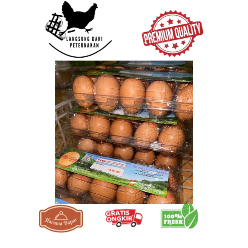 

TELUR OMEGA-3 FRESH 1 PACK ISI 10 BUTIR