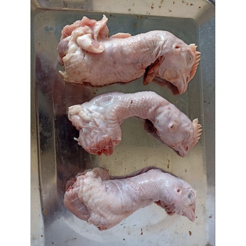 

Kepala ayam termurah