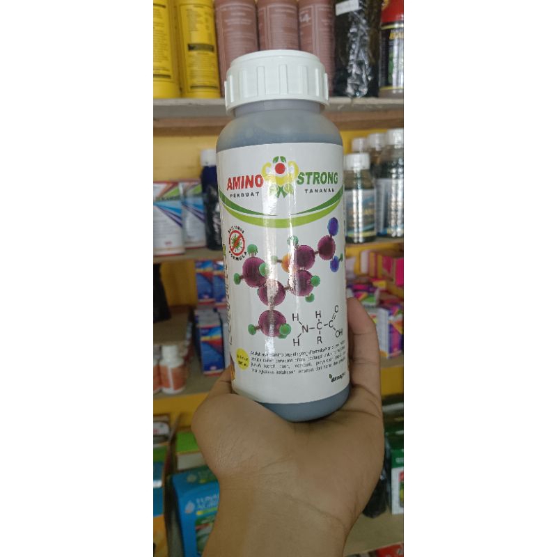 Amino strong asam amino organik