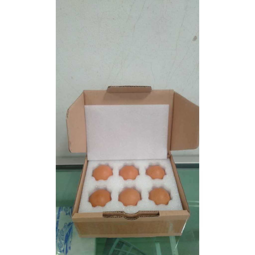 

Telur Negeri Omega Kemasan Anti Pecah/Bebas Ongkir