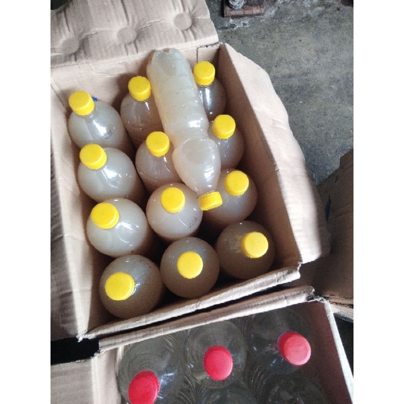 

paketan 1 karton jamu herbal isi 12btol 1,5liter khas bekoamang GK gedang kluthuk 100,%ori dari pabrik