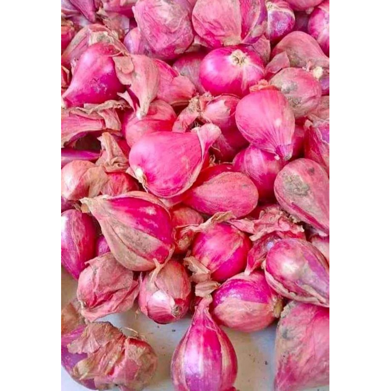 

BAWANG MERAH BREBES/BAMER, BAWANG PUTIH, BAWANG BOMBAI