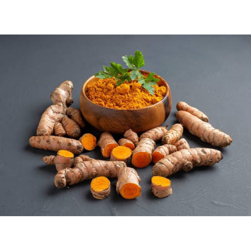 

KUNYIT SEGAR/KUNIR FRESH 1KG
