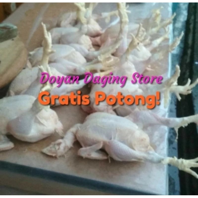 

Ayam Utuh Fresh Segar Kepala Ceker 1kg