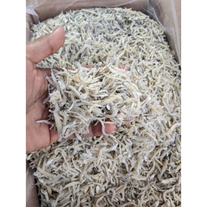 

TERI NASI KERING / TERI NASI PUTIH / IKAN ASIN TERI PUTIH