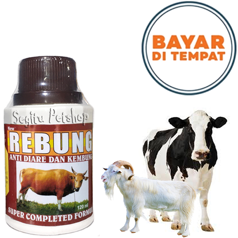 OBAT MENCRET SAPI KAMBING SAKIT PENCERNAAN KEMBUNG REBUNG