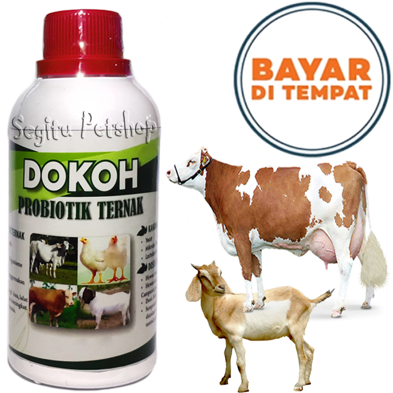 VITAMIN PENGGEMUK SAPI KAMBING PENAMBAH NAFSU MAKAN DOKOH TERNAK