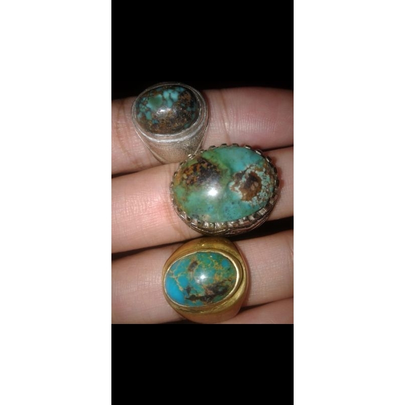 pirus persia borongan 3pcs