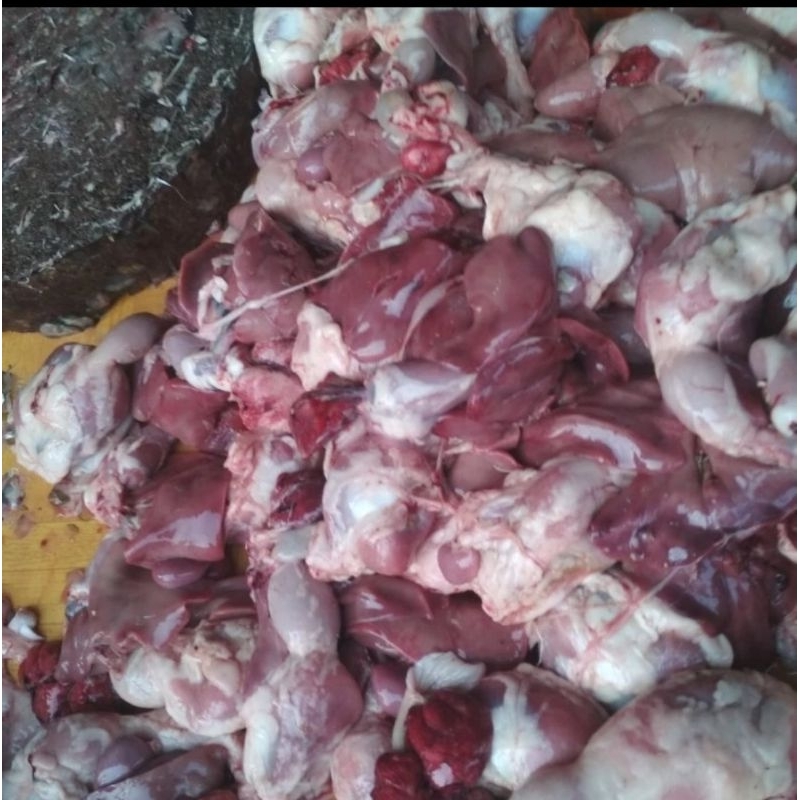 

Hati Ampela Ayam isi 10 Pasang Fresh Dan Frozen