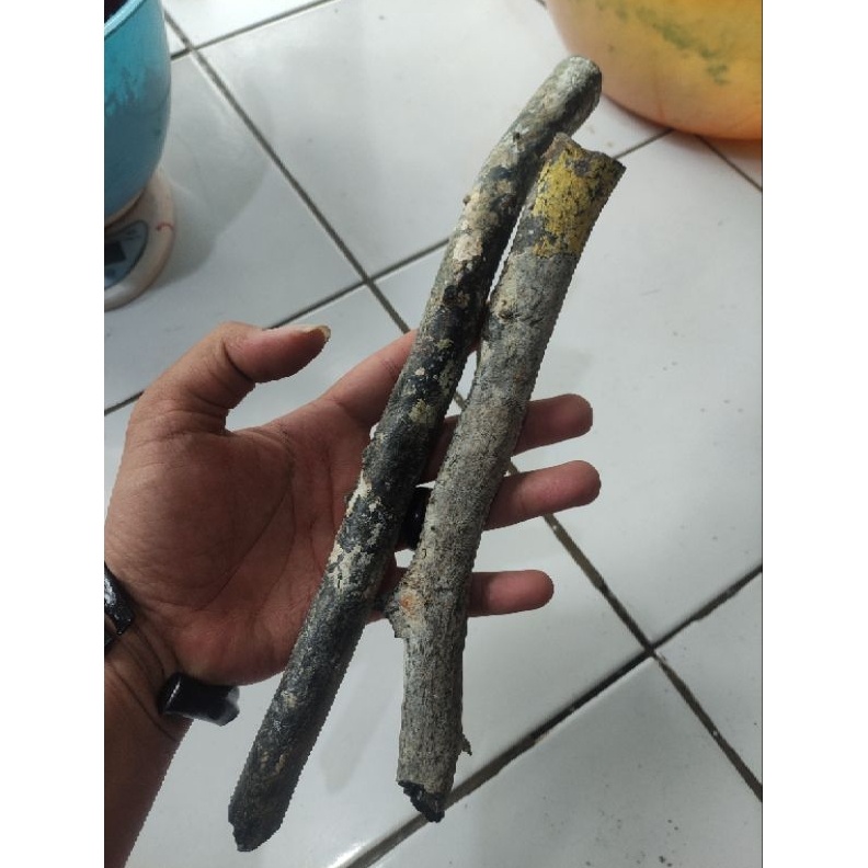 KODE M55E BAHAN PIPA GAGANG HANDEL GELANG AKAR BAHAR JUMBO PADAT