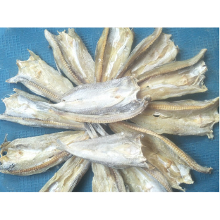 

Ikan Asin Gabus Laut 500gr