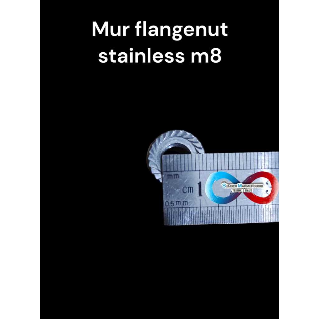Mur Flange stainless m8