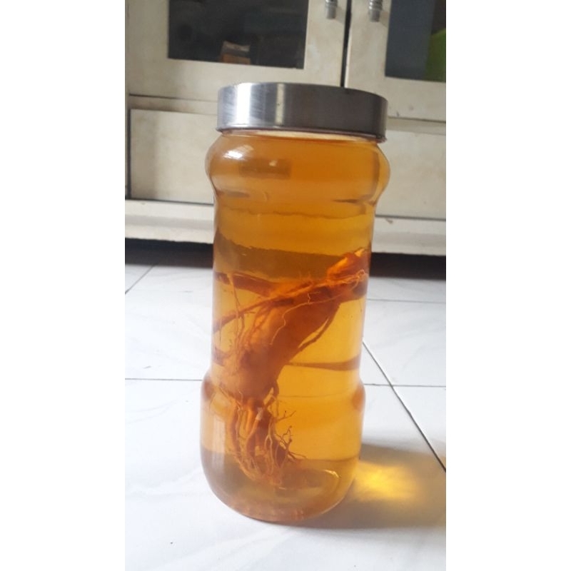 gingseng korea asli