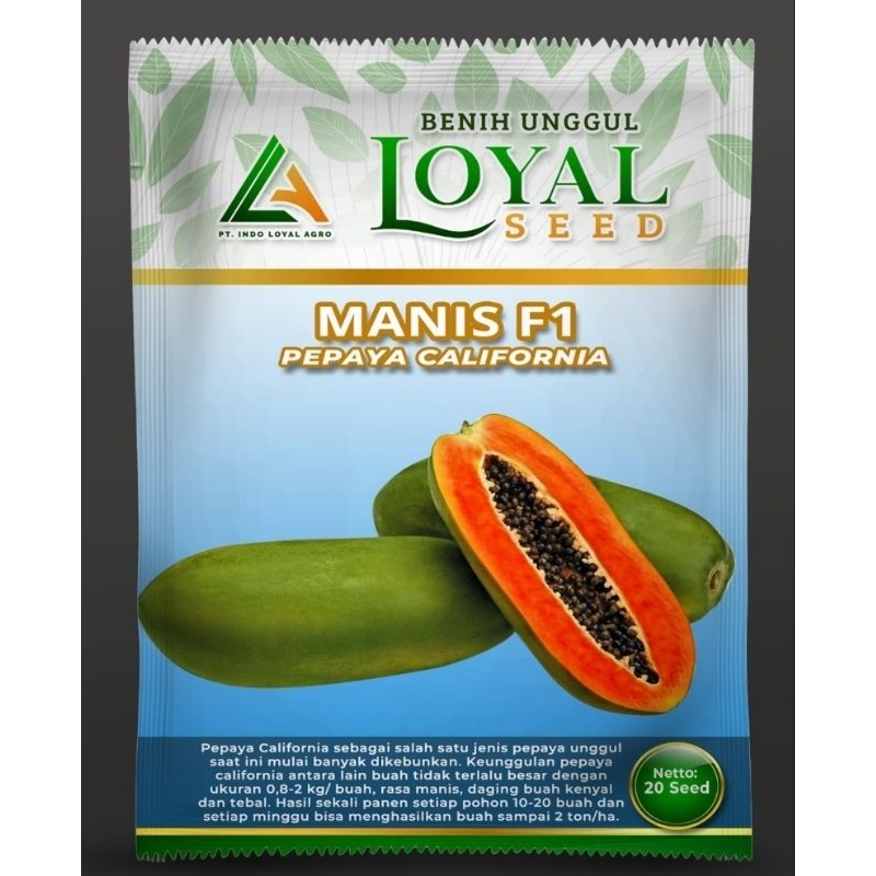 Pepaya California " MANIS F1 "