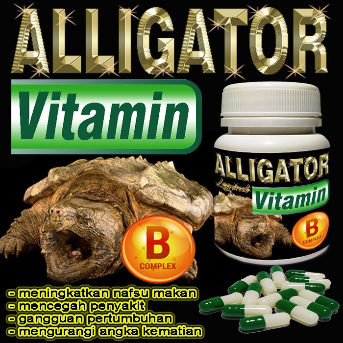 ALLIGATOR VITAMIN KAPSUL SUPLEMEN KESEHATAN KURA-KURA AIR ALIGATOR SNAPPING TURTLE AST CST MENAMBAH 