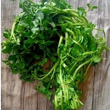 

SAYUR SELADA AIR