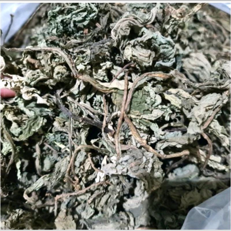 DAUN INSULIN KERING UNTUK DIABETES