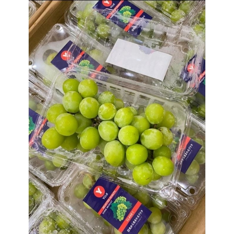 

anggur musacat 1 pack 500 grm