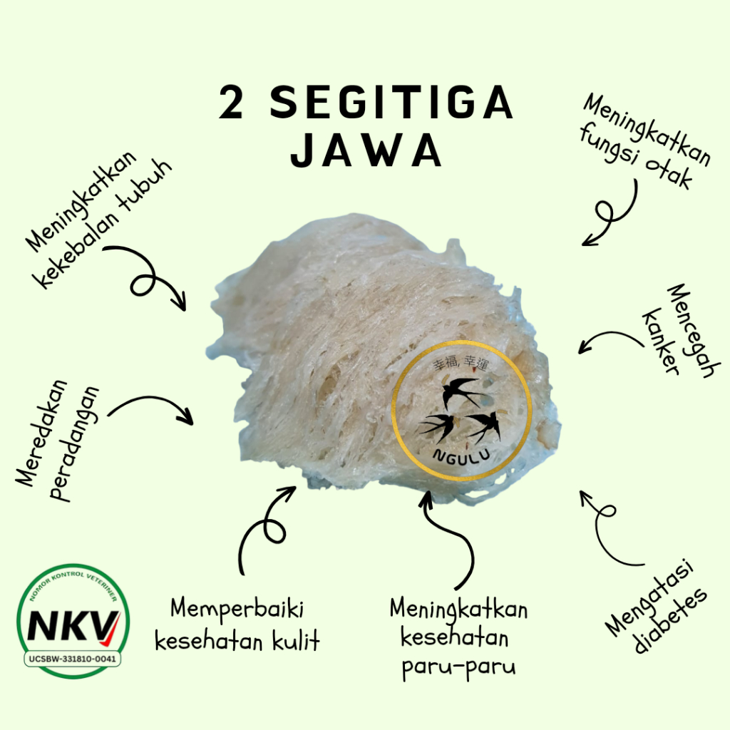 

Sarang Burung Walet 2 Segitiga Jawa Siap Masak