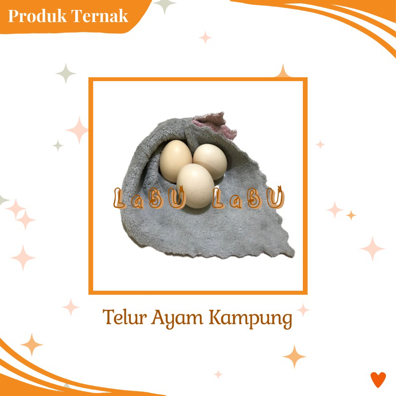 

Telur Ayam Kampung