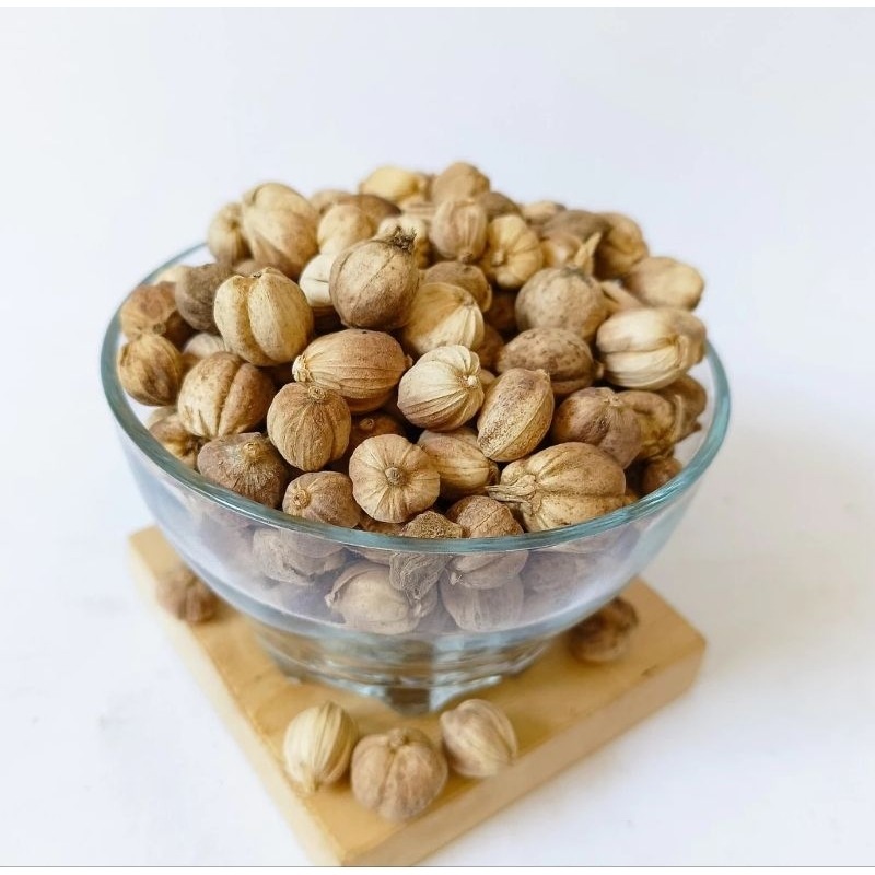 

KAPULAGA ALAMI /KAPOLAGA