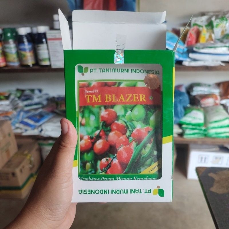 Bibit tomat TM Blazer