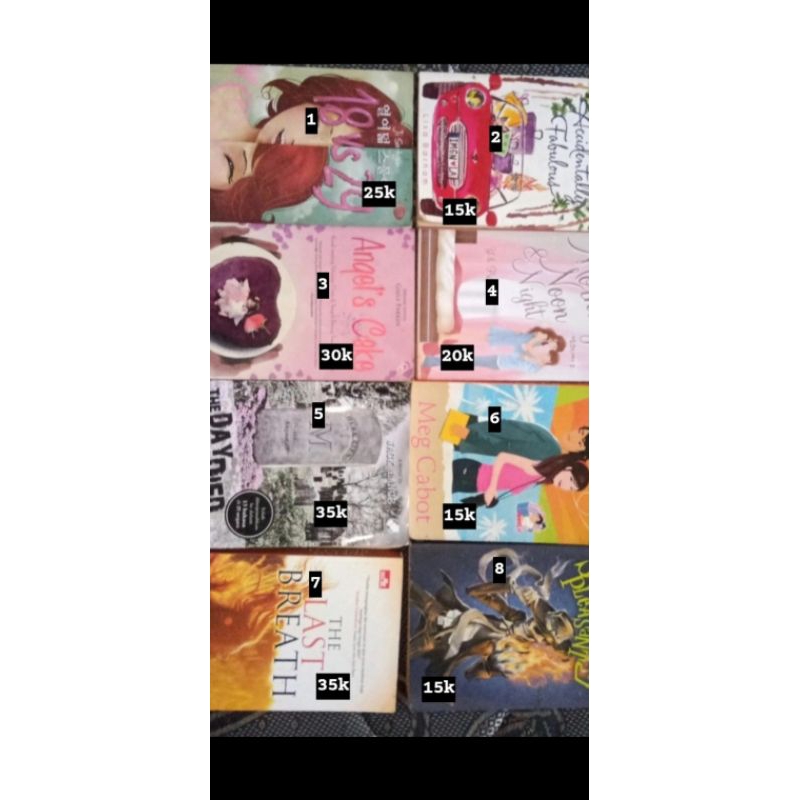 preloved buku novel terjemahan