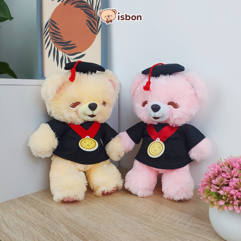 Boneka Wisuda Beruang Teddy Bear Istana Boneka STD Boney Bonita Pink