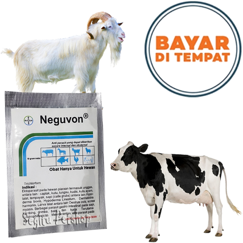 OBAT KUTU SAPI KERBAU KAMBING TERNAK PEMBASMI PARASIT GUREM NEGUVON SERBUK