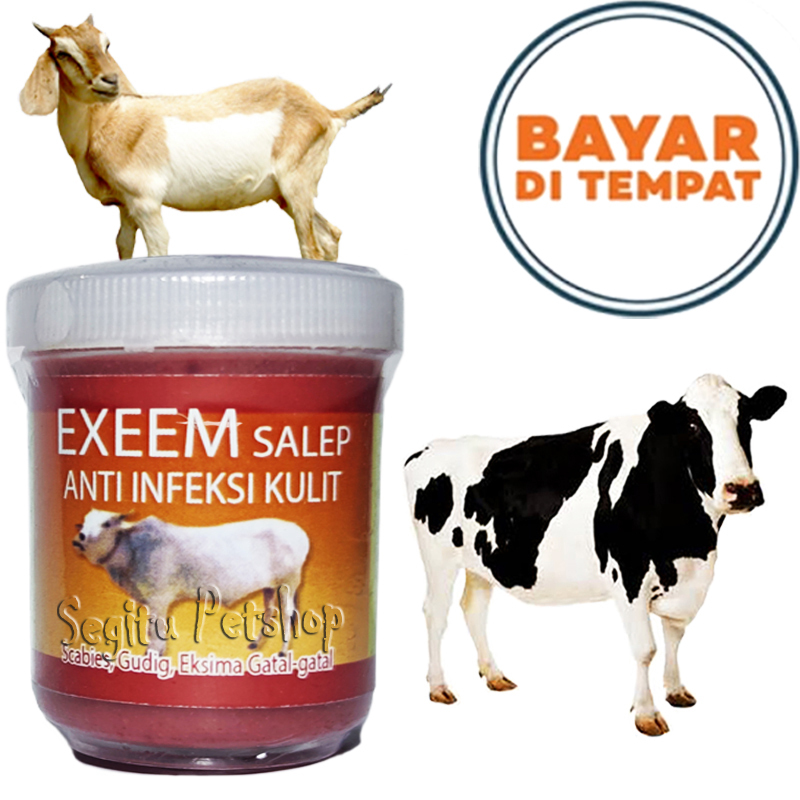 OBAT KORENG SAPI KAMBING SALEP EXEEM PENGHILANG JAMUR GUDIK