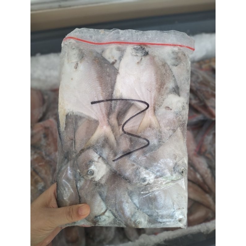 

tersedia Frozen food ya say, ikan bawal ya beb, yg sudah dibersihkankan , jamin manis dan seger, asli seafood dr laut Panipahan/desa terapung ya beb