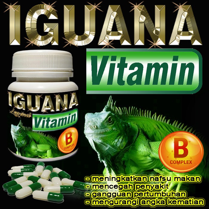 IGUANA VITAMIN KAPSUL SUPLEMEN KESEHATAN REPTILE IGUANNA HIJAU BATU DIAMOND BLUE OBAT HEWAN PENAMBAH