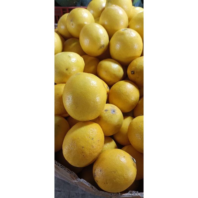 

Lemon Lokal